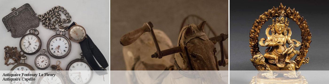 Antiquaire  fontenay-le-fleury-78330 Antiquaire Capello