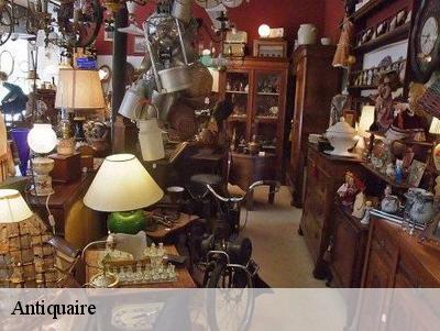 Antiquaire Yvelines