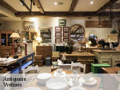 Antiquaire Yvelines