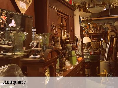 Antiquaire Yvelines