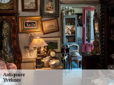 Antiquaire Yvelines